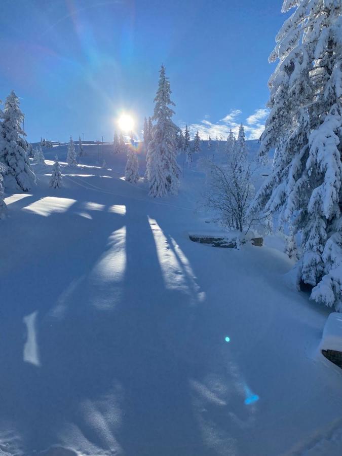 Olimpik House Jahorina Villa Eksteriør billede