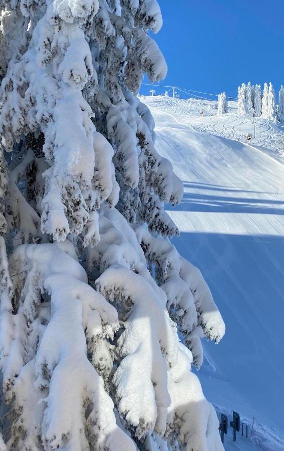 Olimpik House Jahorina Villa Eksteriør billede